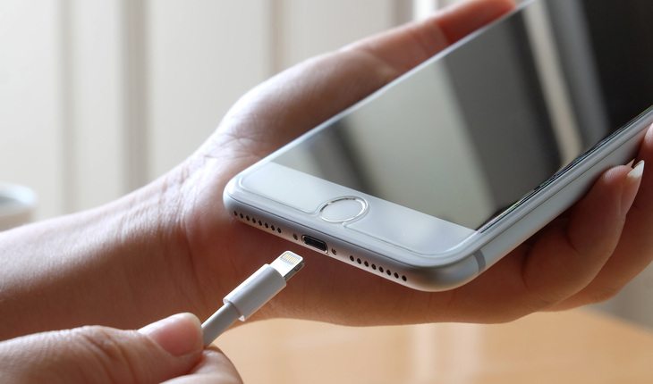 Service Provider of iPhone Charging Port Repair in New Delhi, Delhi, India.